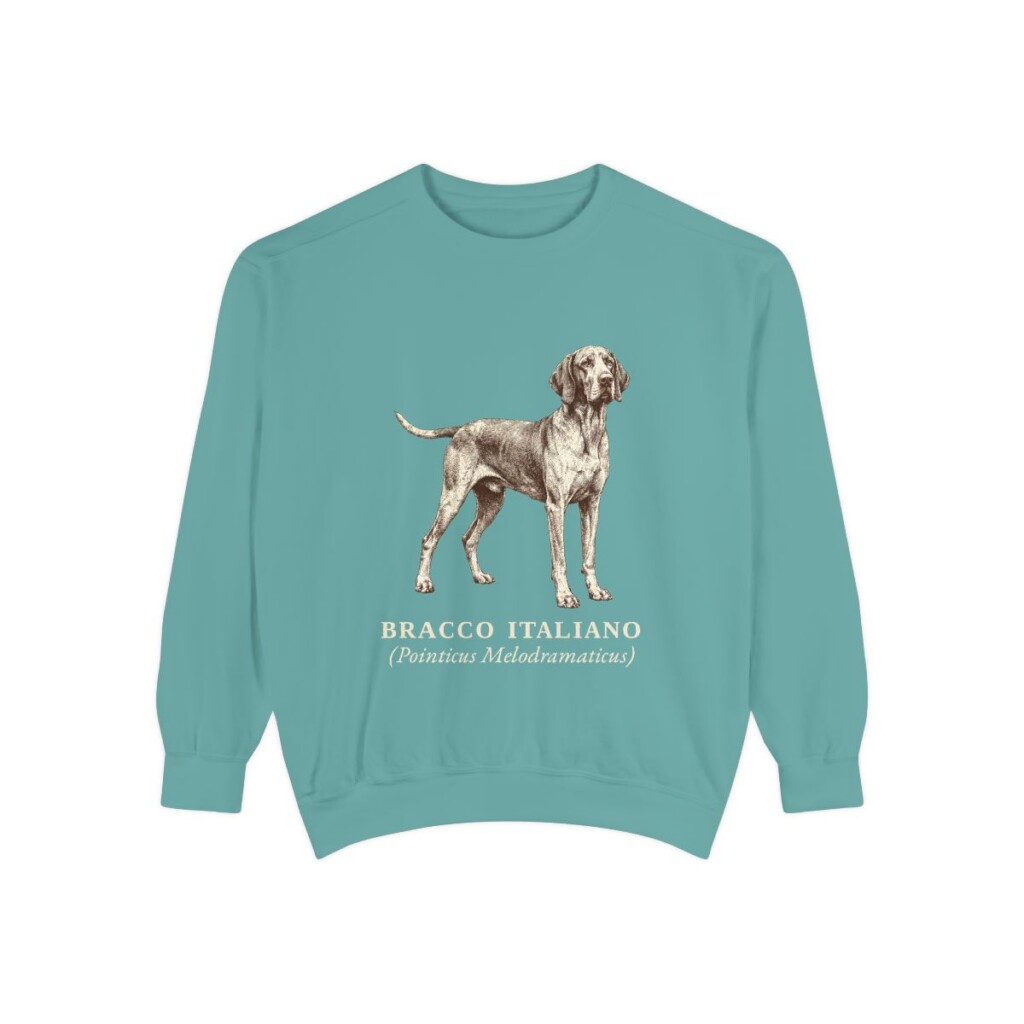 Bracco Italiano Latin Sweatshirt, Seafoam, front view