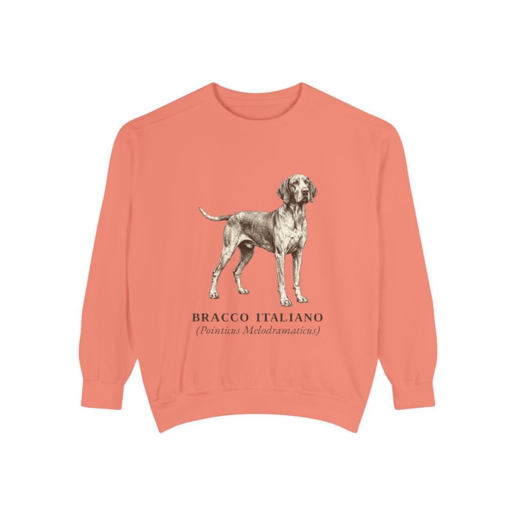 Bracco Italiano Latin Sweatshirt, Terracotta, front view