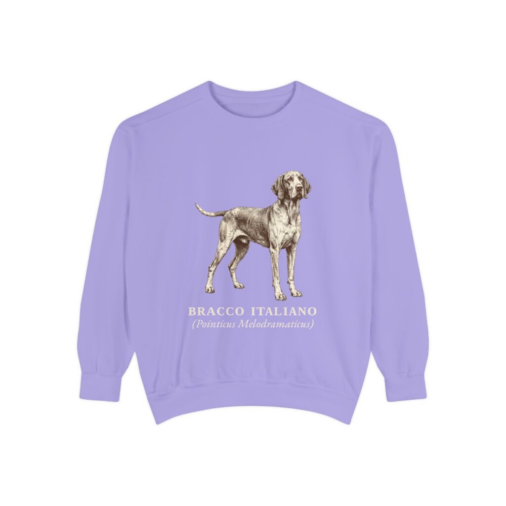 Bracco Italiano Latin Sweatshirt, Violet, front view