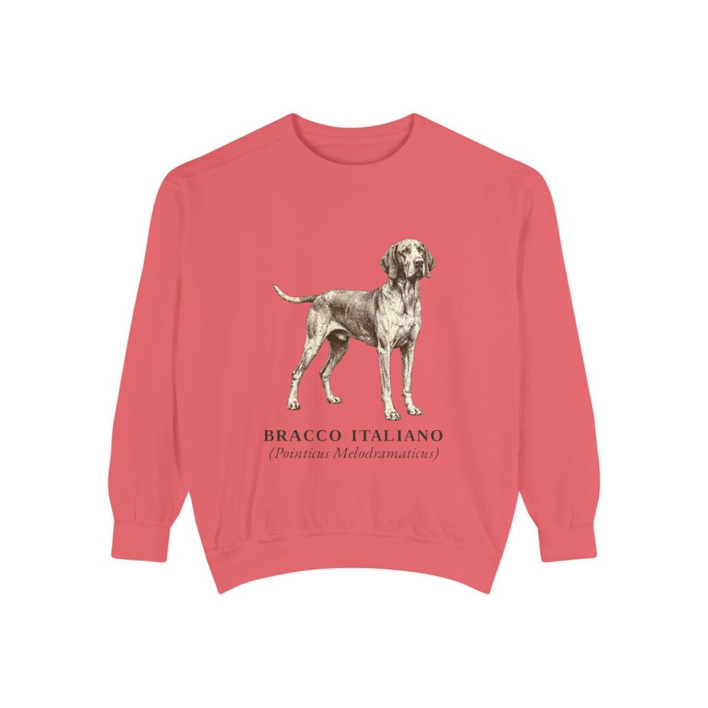 Bracco Italiano Latin Sweatshirt, Watermelon, front view