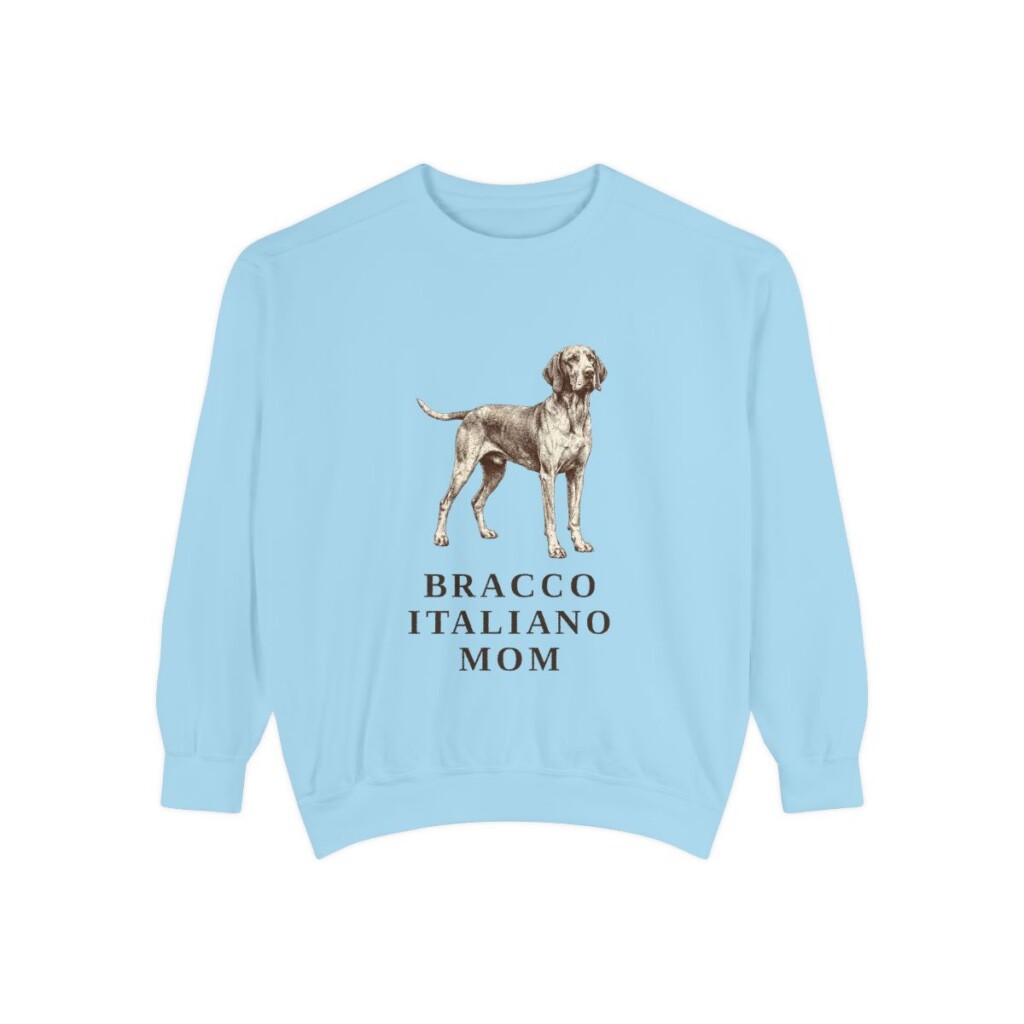 Bracco Italiano Mom Sweatshirt, Chambray, front view