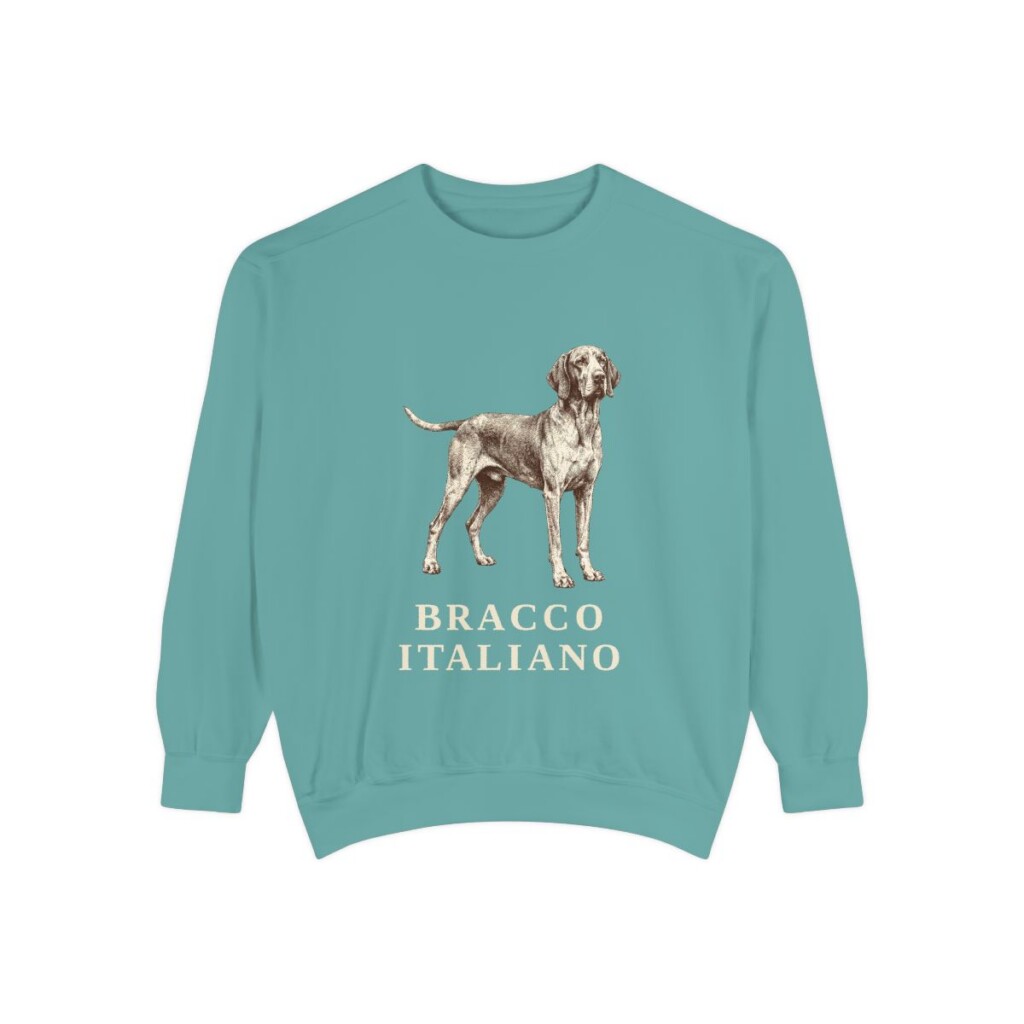 bracco-italiano-sweatshirt-seafoam Bracco Italiano Sweatshirt, Seafoam, front view