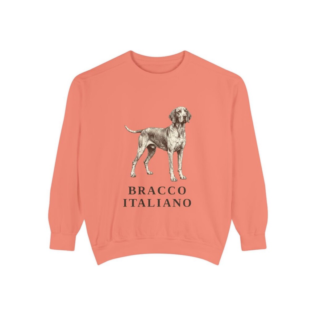 bracco-italiano-sweatshirt-terracotta Bracco Italiano Sweatshirt, Terracotta, front view