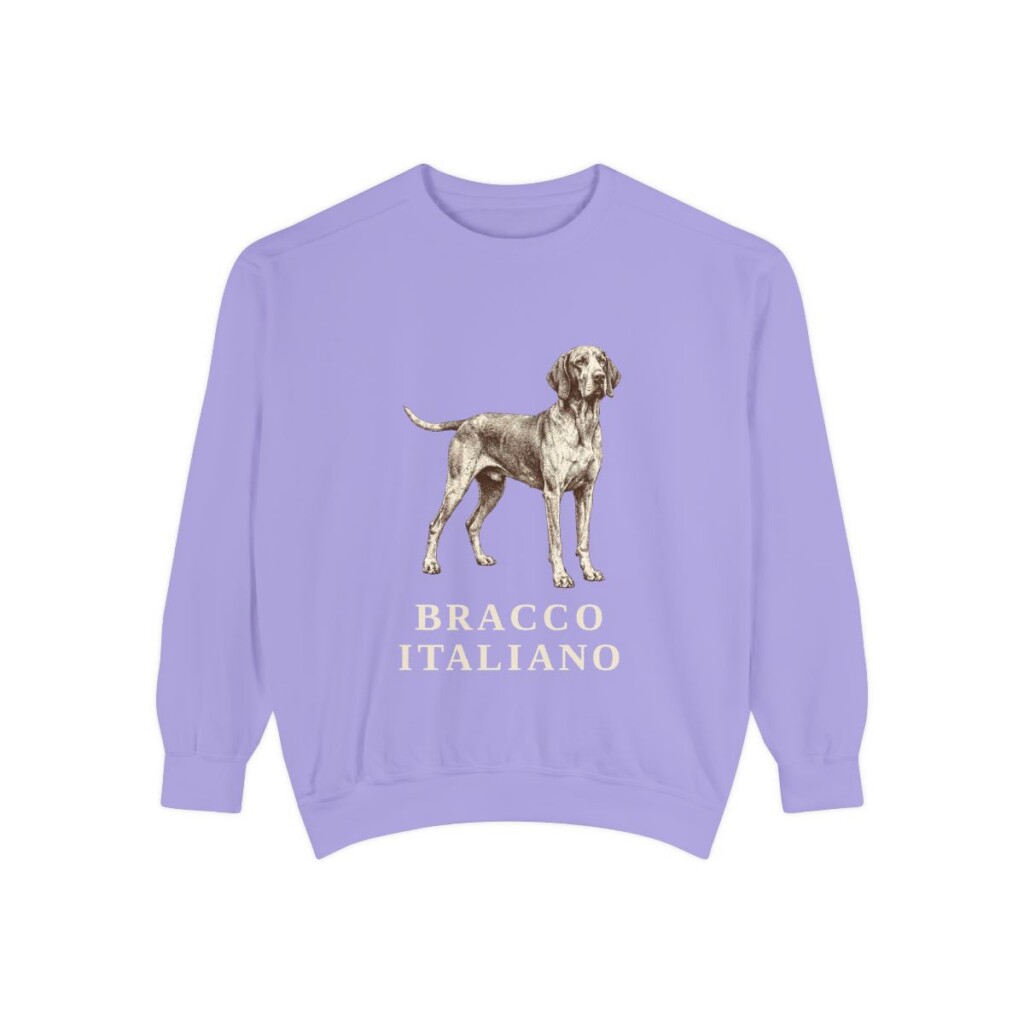 bracco-italiano-sweatshirt-violet Bracco Italiano Sweatshirt, Violet, front view