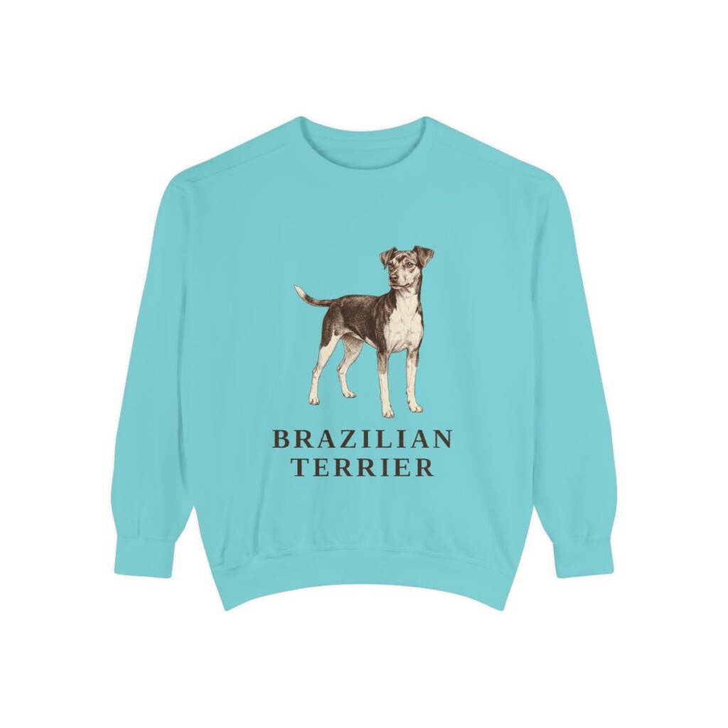 Brazilian Terrier Sweatshirt, Chalky Mint, front view