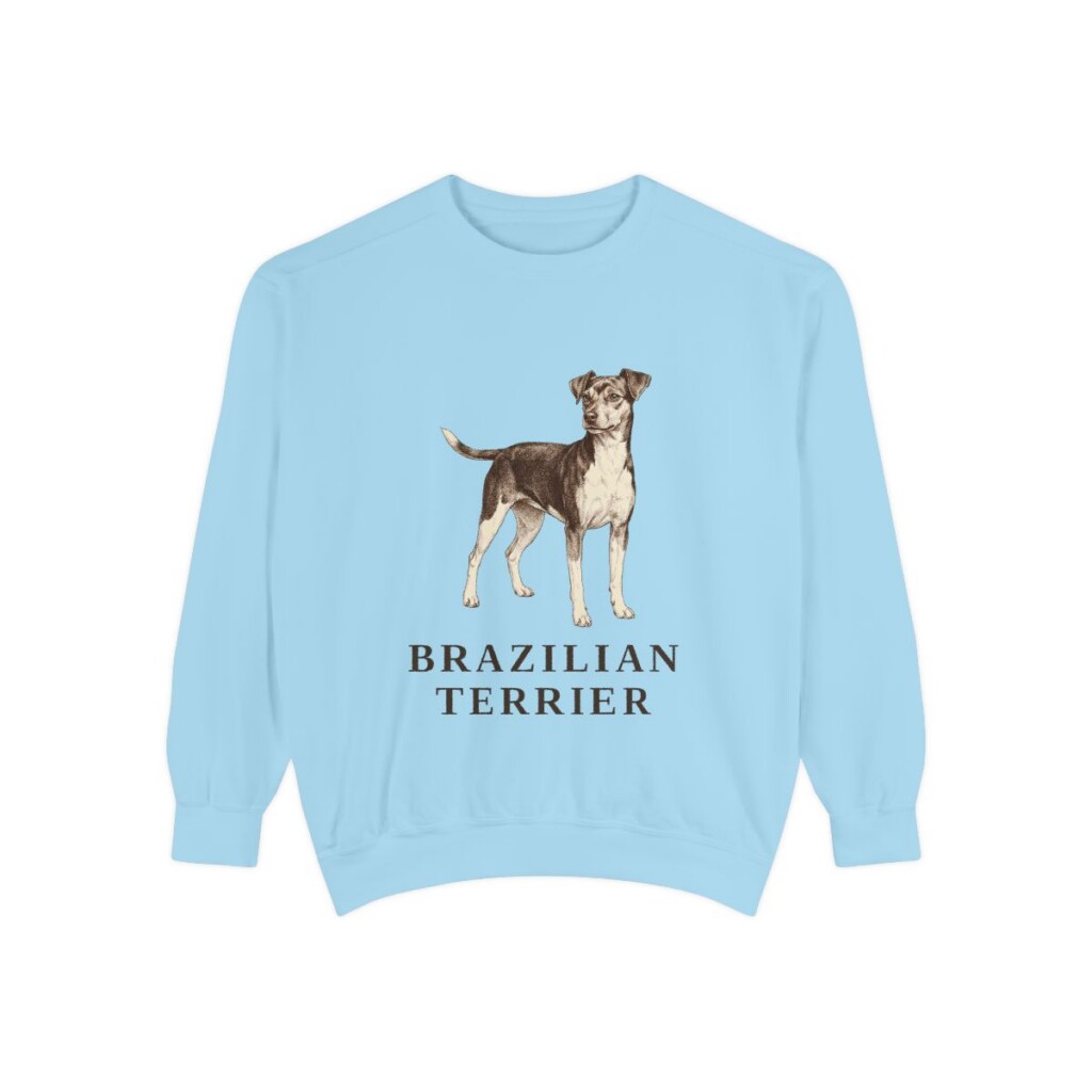 Brazilian Terrier Sweatshirt, Chambray, front view