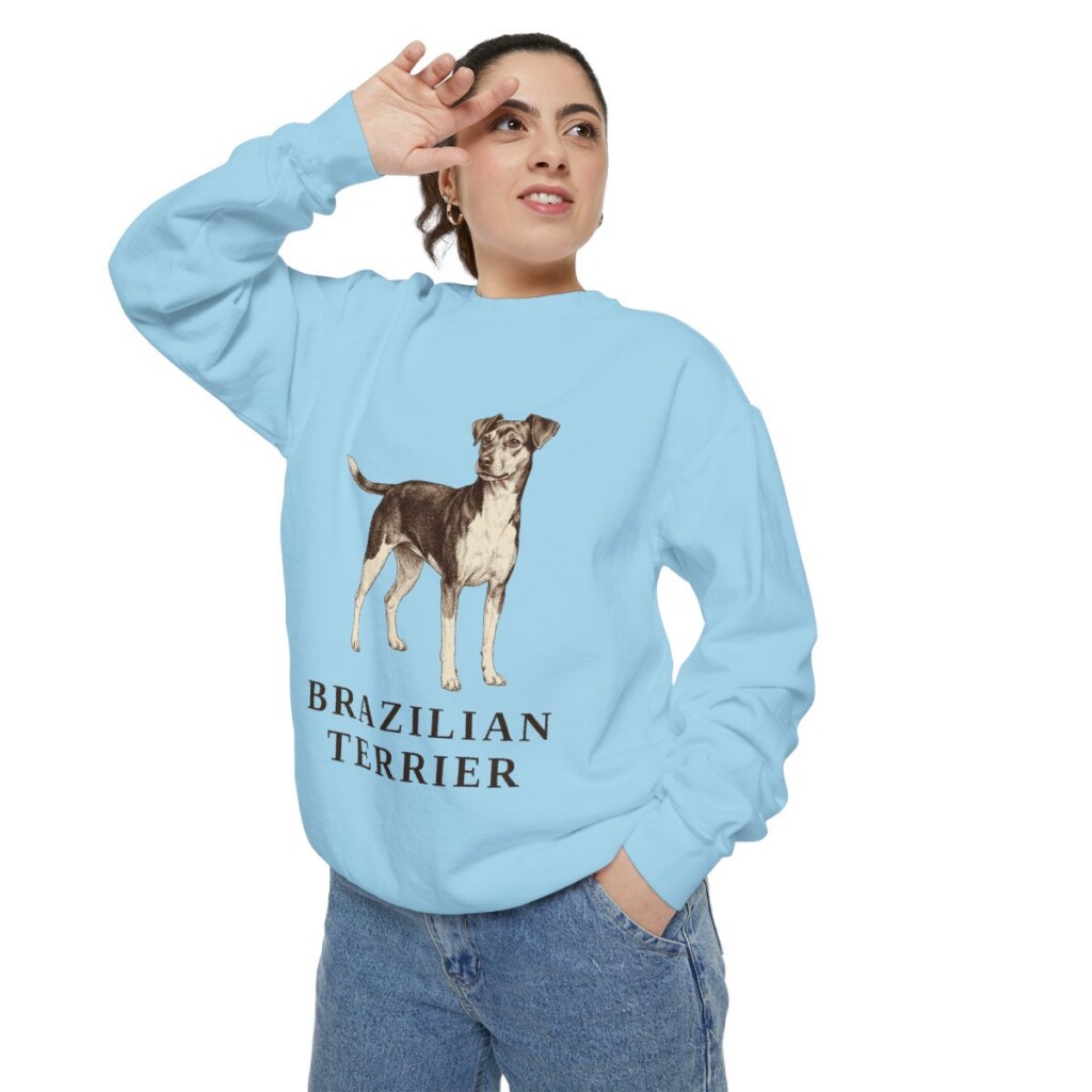 Brazilian Terrier Sweatshirt, Chambray, person 2 context