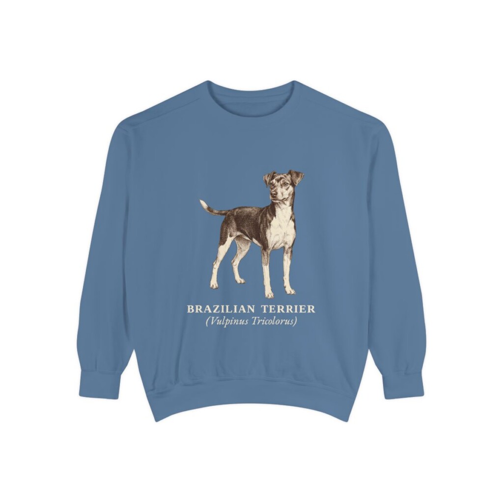 Brazilian Terrier Latin Sweatshirt, Blue Jean, front view
