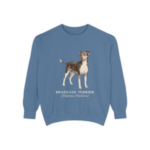Brazilian Terrier Latin Sweatshirt, Blue Jean, front view