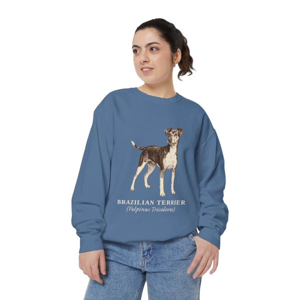 Brazilian Terrier Latin Sweatshirt, Blue Jean, person 2 front