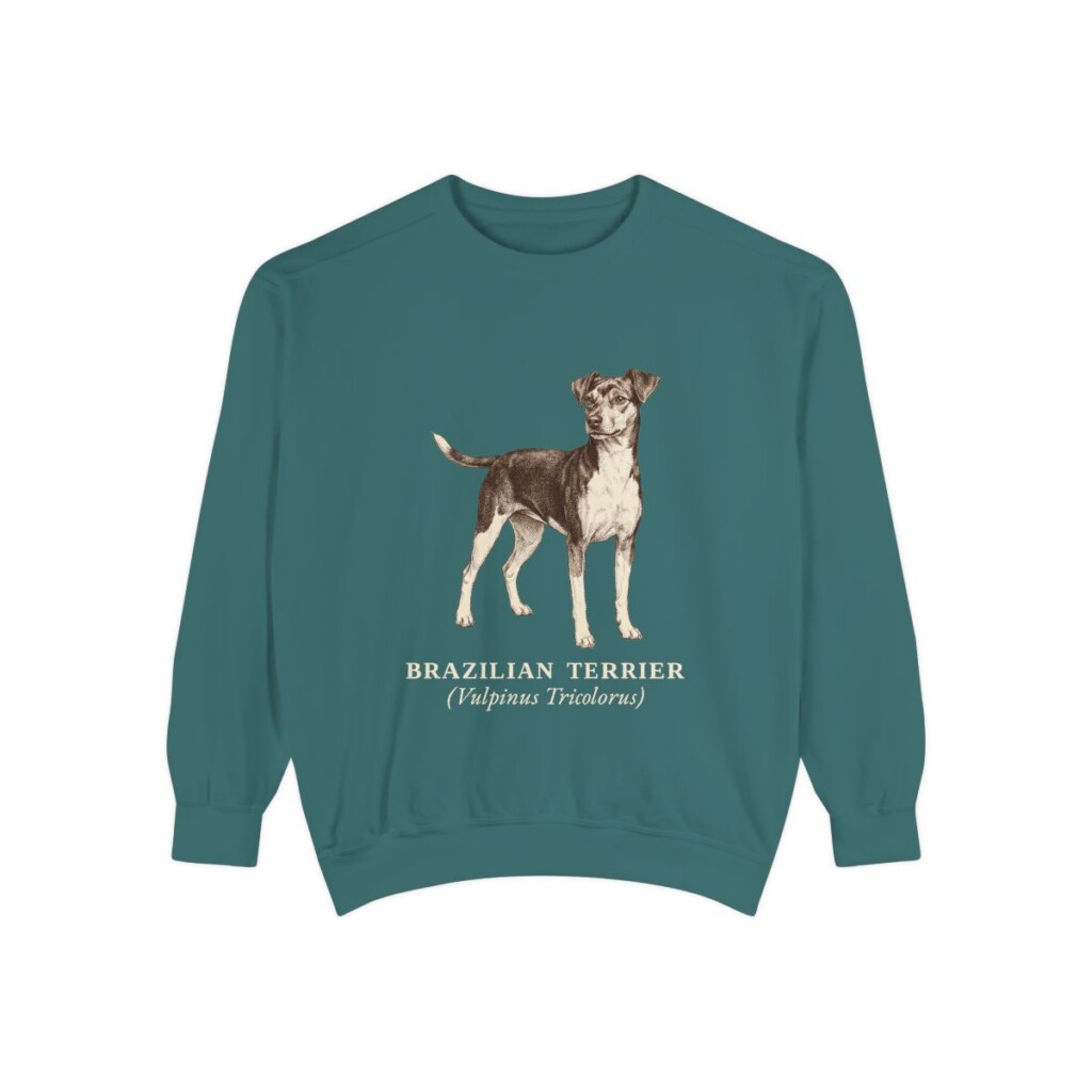 Brazilian Terrier Latin Sweatshirt, Blue Spruce, front view