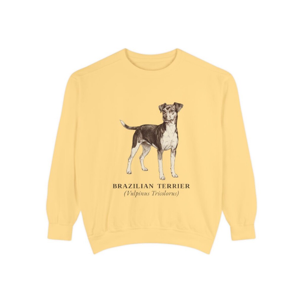 Brazilian Terrier Latin Sweatshirt, Butter, front view