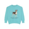 Brazilian Terrier Latin Sweatshirt, Chalky Mint, front view
