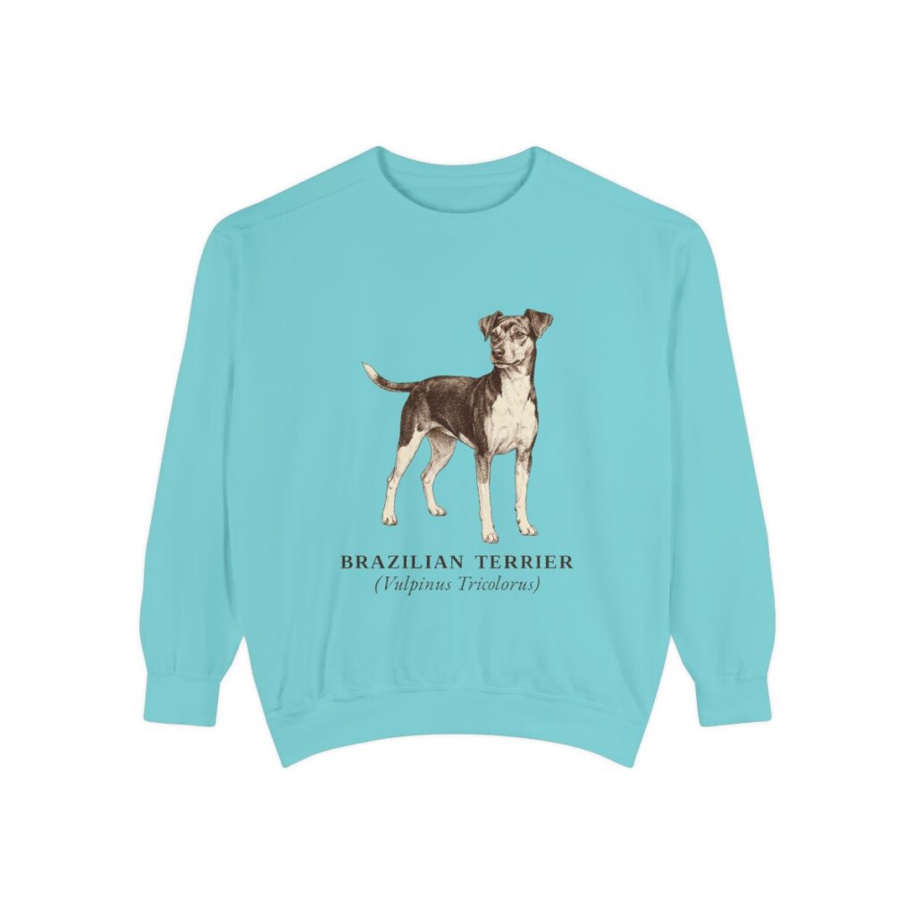Brazilian Terrier Latin Sweatshirt, Chalky Mint, front view