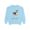 Brazilian Terrier Latin Sweatshirt, Chambray, front view