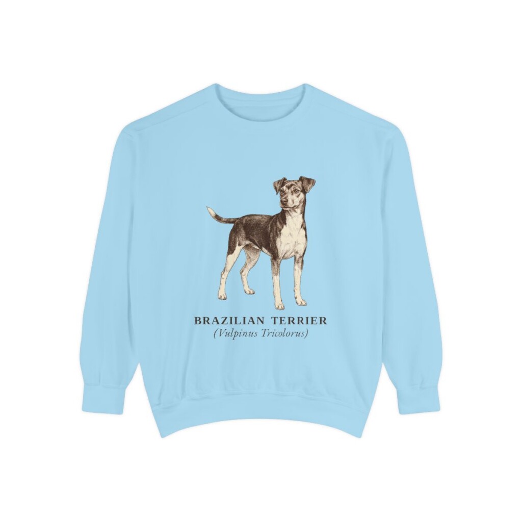 Brazilian Terrier Latin Sweatshirt, Chambray, front view