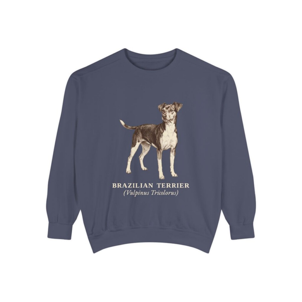 Brazilian Terrier Latin Sweatshirt, Denim, front view