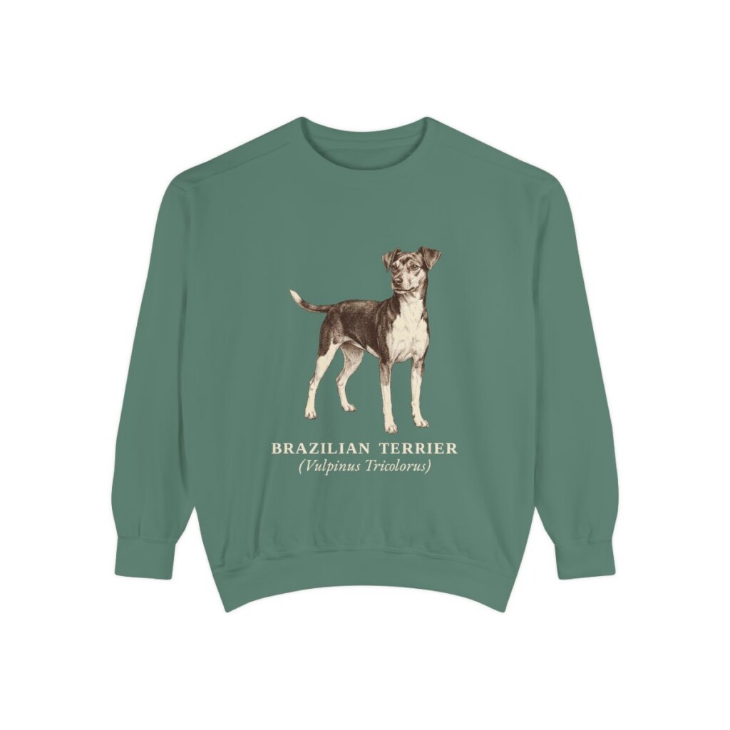 Brazilian Terrier Latin Sweatshirt, Light Green, front view