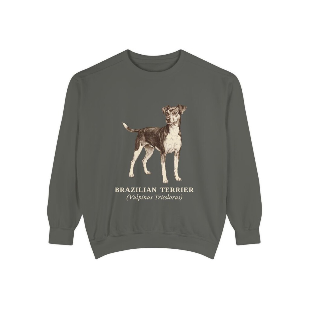 Brazilian Terrier Latin Sweatshirt, Pepper, front view