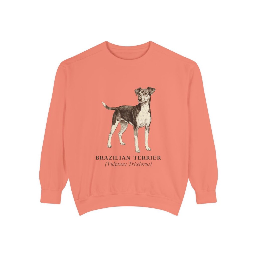 Brazilian Terrier Latin Sweatshirt, Terracotta, front view