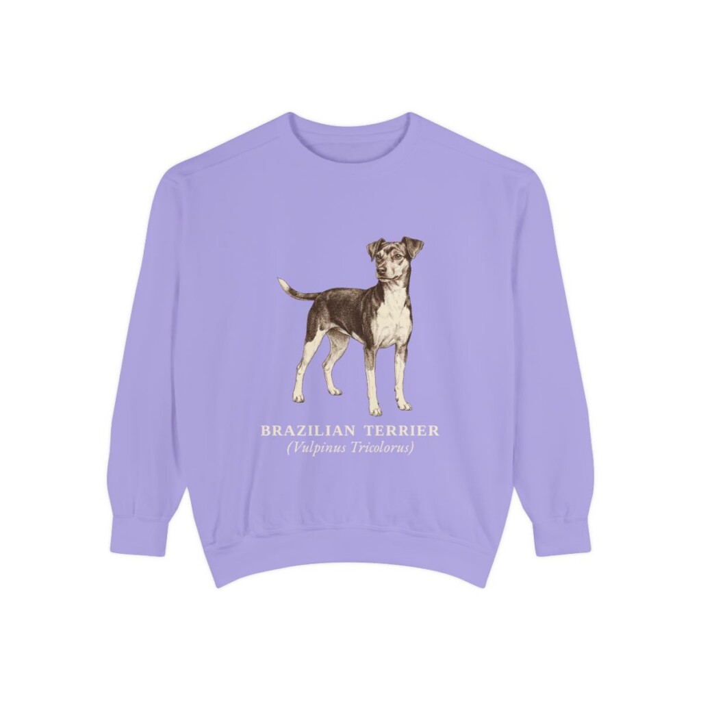 Brazilian Terrier Latin Sweatshirt, Violet, front view