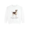 Brazilian Terrier Latin Sweatshirt, White, front view