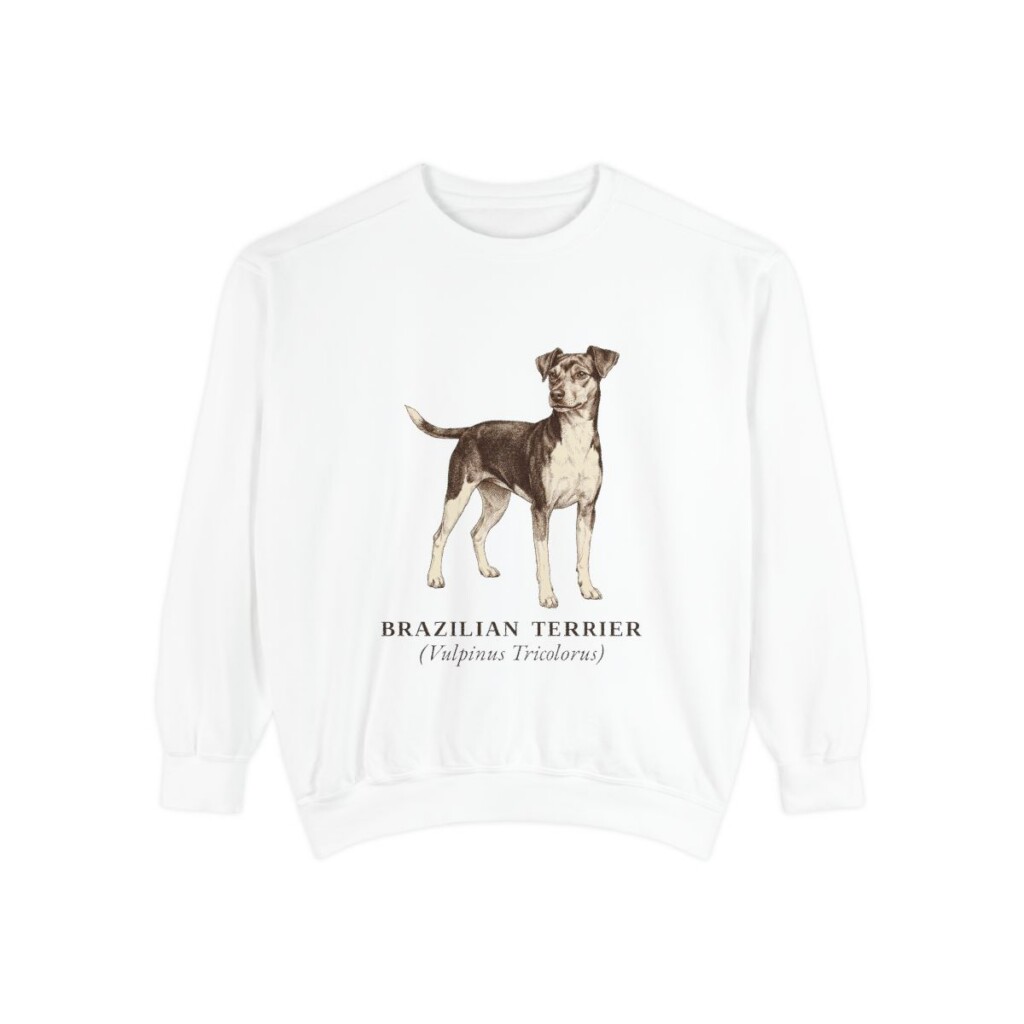 Brazilian Terrier Latin Sweatshirt, White, front view