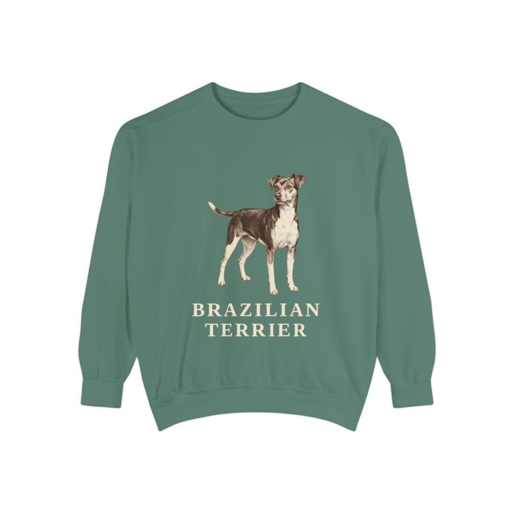 Brazilian Terrier Sweatshirt, Light Green, front view