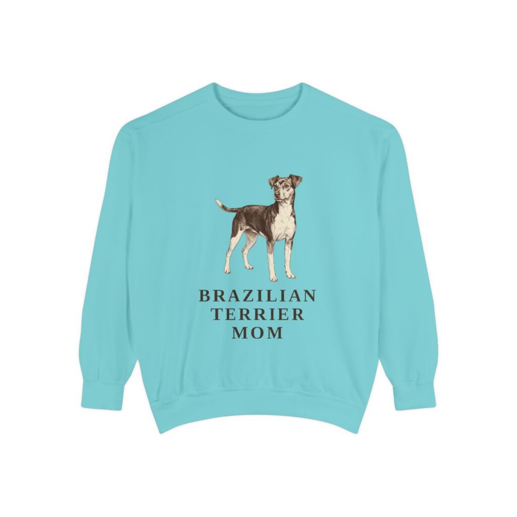 Brazilian Terrier Mom Sweatshirt, Chalky Mint, front view