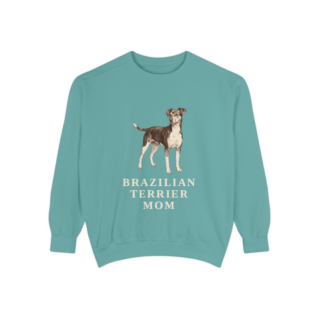 Brazilian Terrier Mom Sweatshirt, Seafoam, front view
