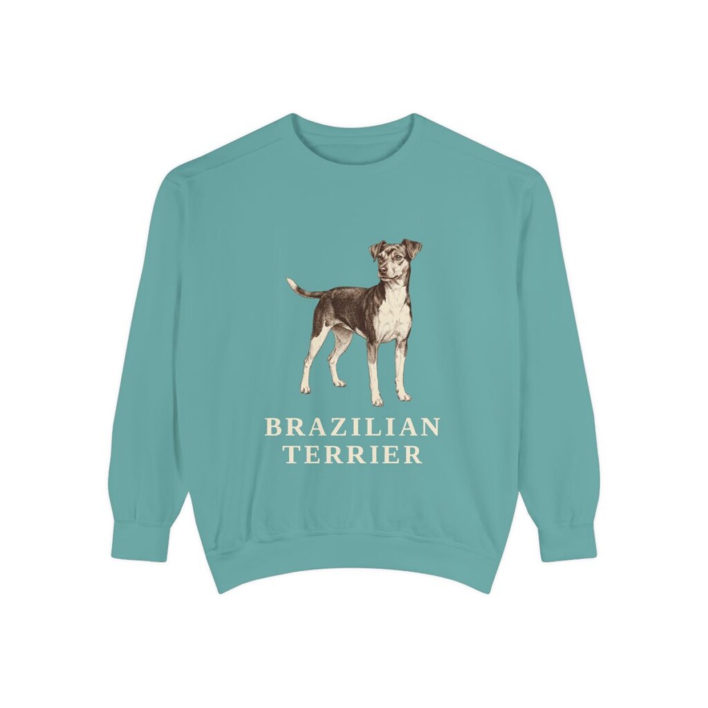 Brazilian Terrier Sweatshirt, Seafoam, front view