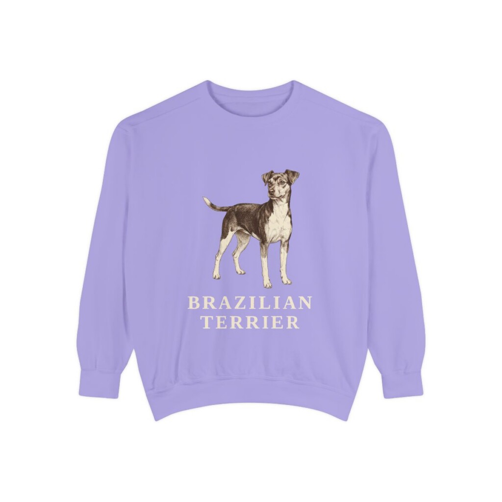 Brazilian Terrier Sweatshirt, Violet, front view