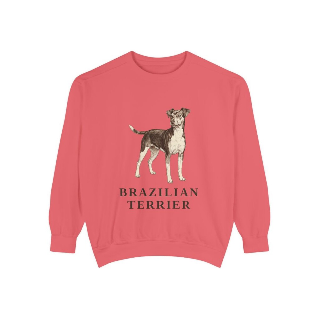 Brazilian Terrier Sweatshirt, Watermelon, front view