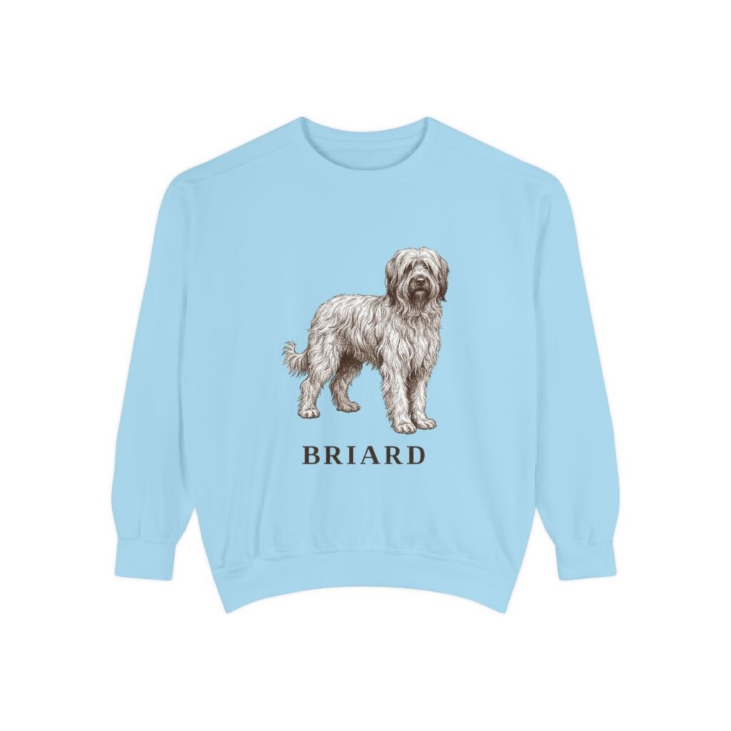 Briard Sweatshirt, Chambray, front view