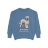 briard-sweatshirt-latin-blue-jean-1 Briard Latin Sweatshirt, Blue Jean, front view