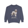 briard-sweatshirt-latin-denim-1 Briard Latin Sweatshirt, Denim, front view