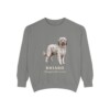briard-sweatshirt-latin-grey-1 Briard Latin Sweatshirt, Grey, front view