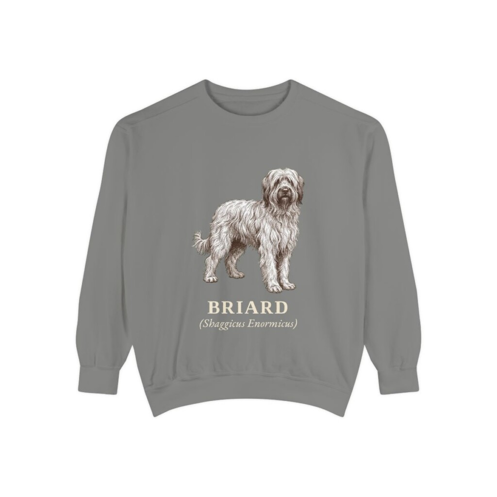 briard-sweatshirt-latin-grey-1 Briard Latin Sweatshirt, Grey, front view