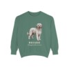 briard-sweatshirt-latin-light-green-1 Briard Latin Sweatshirt, Light Green, front view