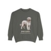 briard-sweatshirt-latin-pepper-1 Briard Latin Sweatshirt, Pepper, front view