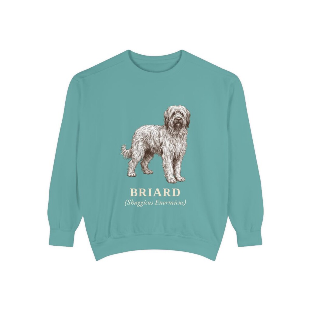 briard-sweatshirt-latin-seafoam-1 Briard Latin Sweatshirt, Seafoam, front view