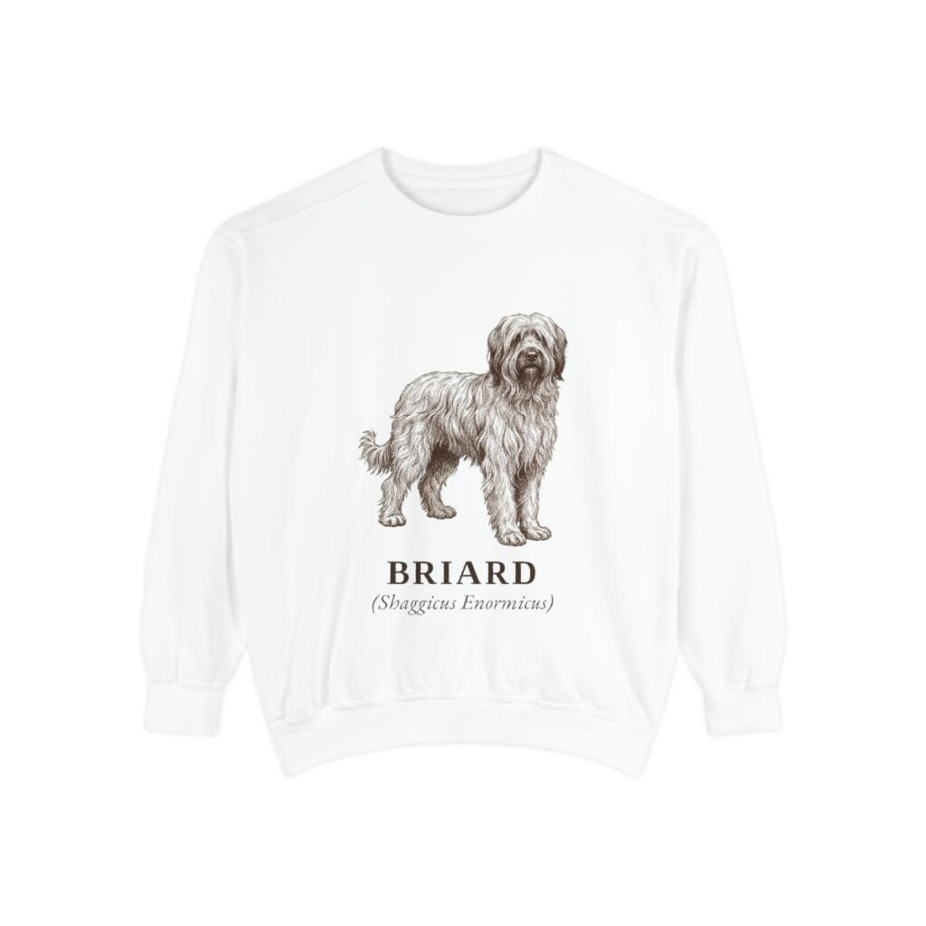 briard-sweatshirt-latin-white-1 Briard Latin Sweatshirt, White, front view