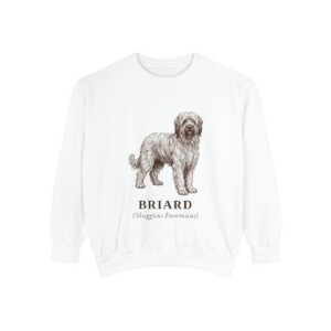 Briard Latin Sweatshirt, White, front view