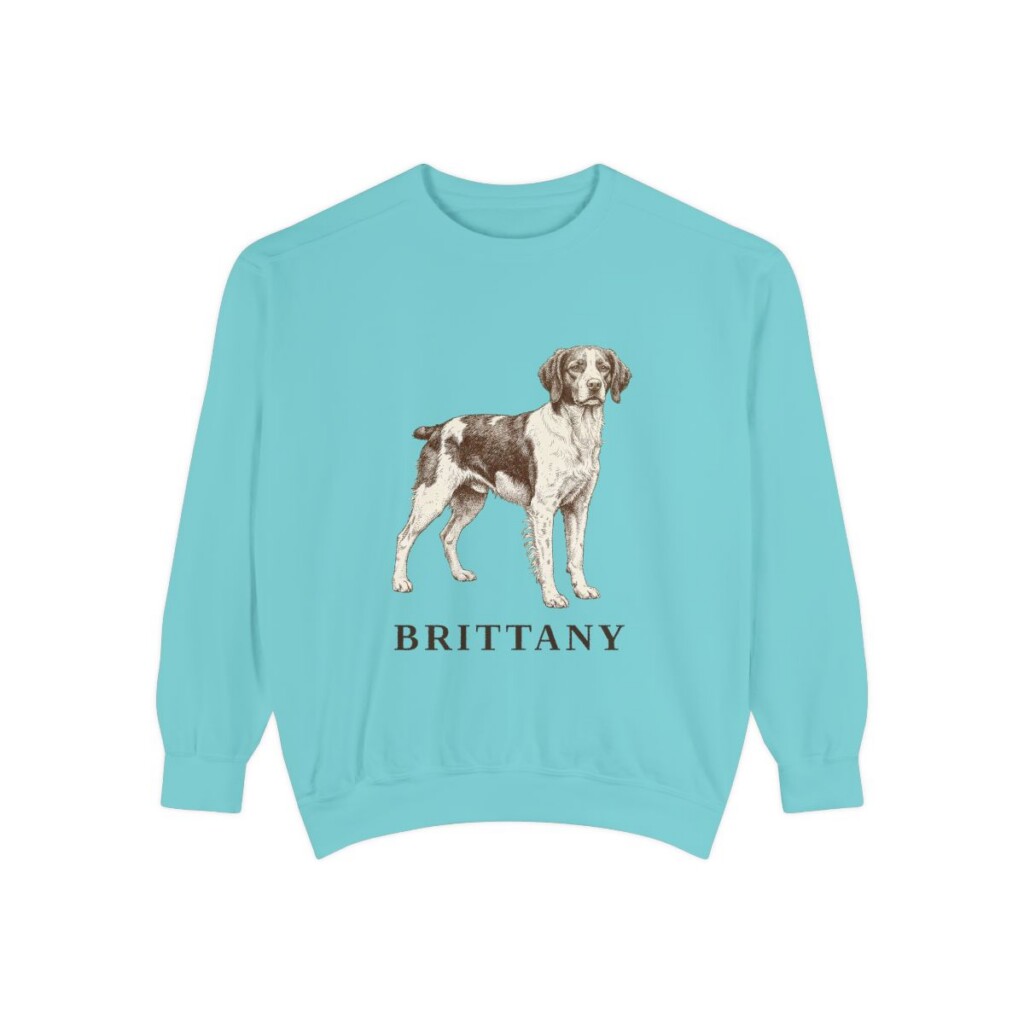 Brittany Sweatshirt, Chalky Mint, front view