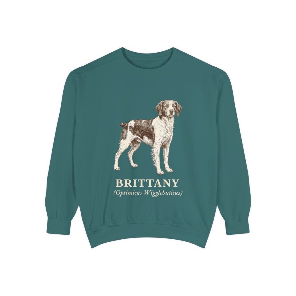 Brittany Latin Sweatshirt, Blue Spruce, front view