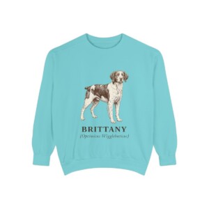Brittany Latin Sweatshirt, Chalky Mint, front view
