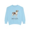 Brittany Latin Sweatshirt, Chambray, front view