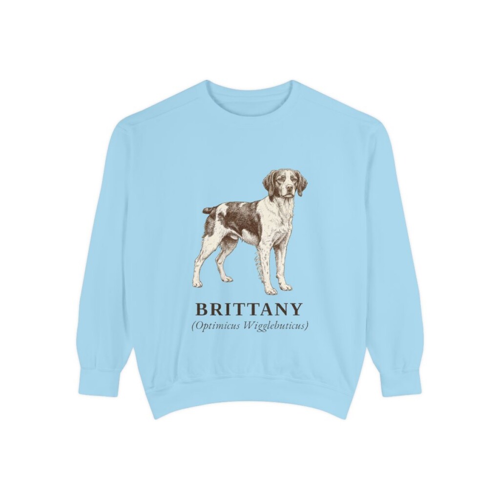 Brittany Latin Sweatshirt, Chambray, front view