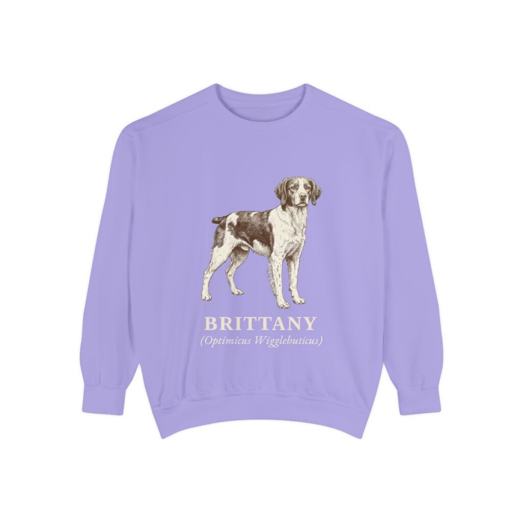Brittany Latin Sweatshirt, Violet, front view