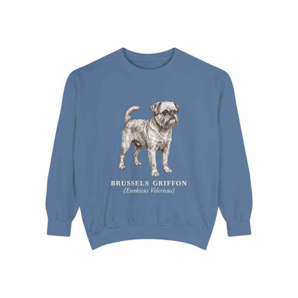Brussels Griffon Latin Sweatshirt, Blue Jean, front view